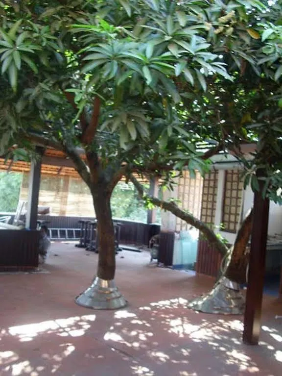 The Mango Tree Inn Kochi Hotel